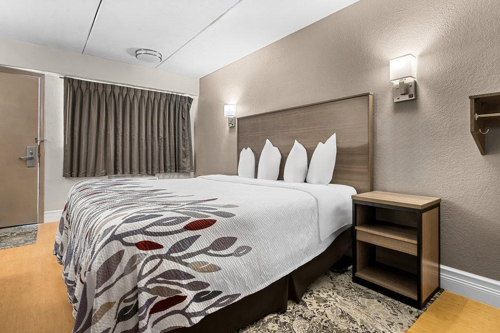 Red Roof Inn Tampa Fairgrounds - Casino Mango Ngoại thất bức ảnh